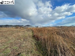 たつの市誉田町高駄、土地の外観画像です