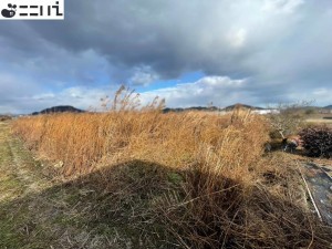 たつの市誉田町高駄、土地の外観画像です