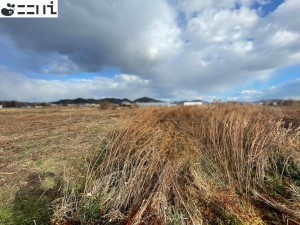 たつの市誉田町高駄、土地の外観画像です