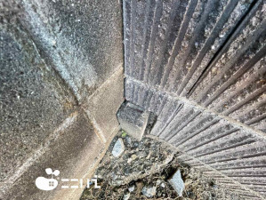 姫路市田寺、土地の画像です