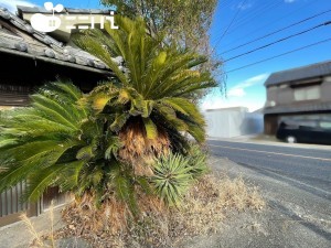 姫路市仁豊野、土地の画像です