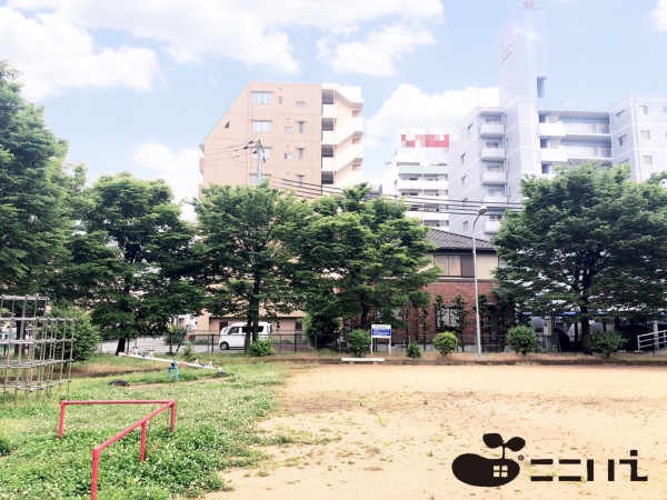 姫路市安田、マンションの画像です