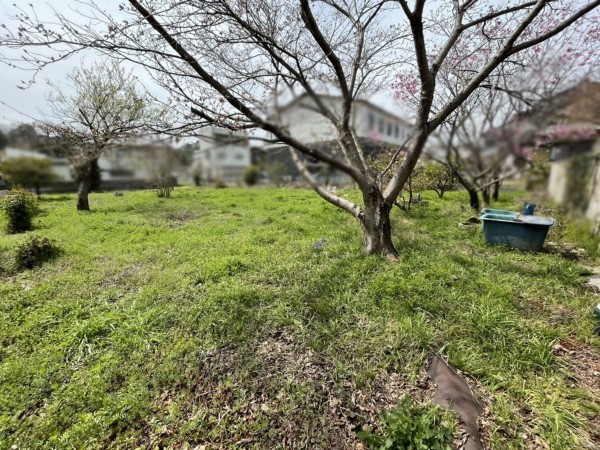 揖保郡太子町鵤、土地の外観画像です