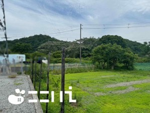 姫路市保城、土地の画像です