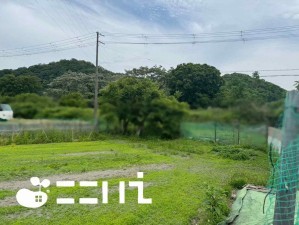 姫路市保城、土地の画像です