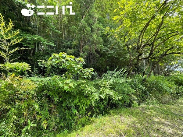 姫路市東山、土地の画像です