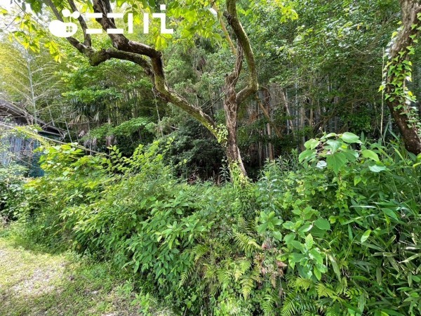 姫路市東山、土地の画像です