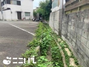 姫路市御立西、土地の画像です