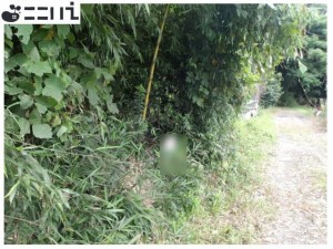 たつの市御津町黒崎、土地のその他画像です