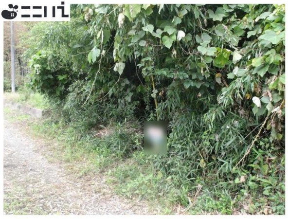 たつの市御津町黒崎、土地の外観画像です