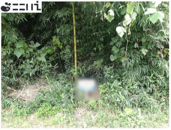 たつの市御津町黒崎、土地の外観画像です