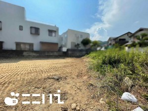 姫路市新在家、土地の画像です