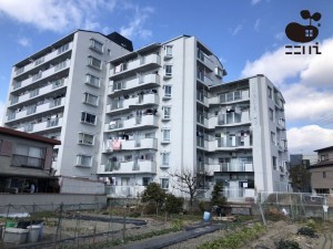 姫路市西今宿、マンションの外観画像です