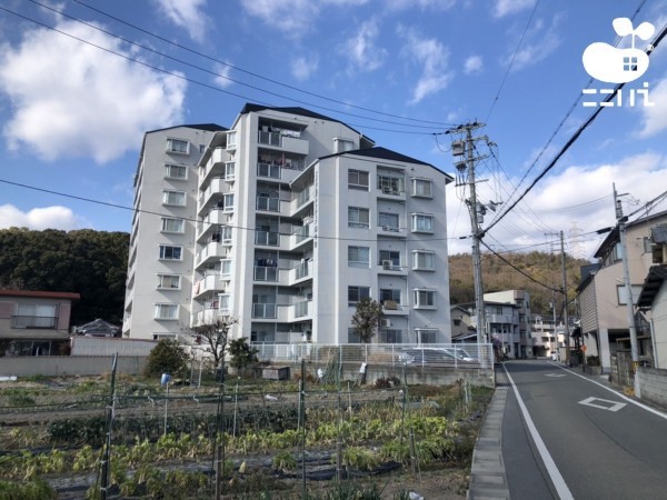 姫路市西今宿、マンションの外観画像です