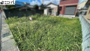 たつの市新宮町新宮、土地の外観画像です