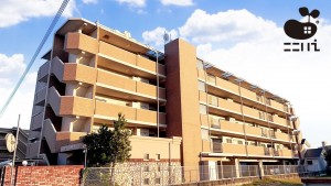 姫路市東今宿、マンションの外観画像です