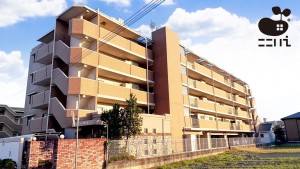 姫路市東今宿、マンションの外観画像です