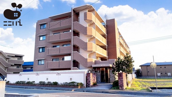 姫路市東今宿、マンションの外観画像です