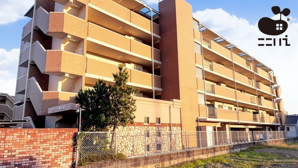 姫路市東今宿、マンションの外観画像です