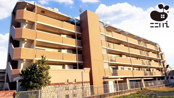 姫路市東今宿、マンションの外観画像です