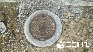 姫路市白国、土地の画像です