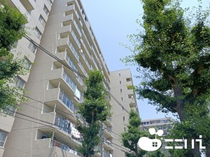 姫路市増位新町、マンションの外観画像です