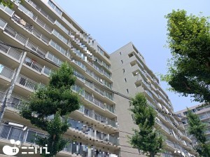姫路市増位新町、マンションの外観画像です