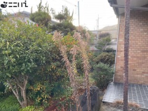 たつの市揖保川町片島、中古一戸建ての外観画像です