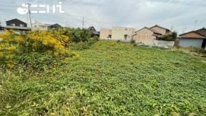 姫路市玉手、土地の画像です