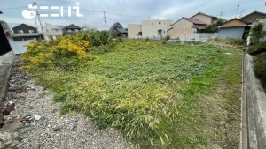 姫路市玉手、土地の画像です