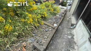 姫路市玉手、土地の画像です