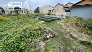 姫路市玉手、土地の画像です