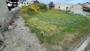姫路市玉手、土地の画像です
