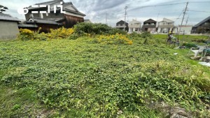 姫路市玉手、土地の画像です