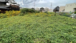 姫路市玉手、土地の画像です