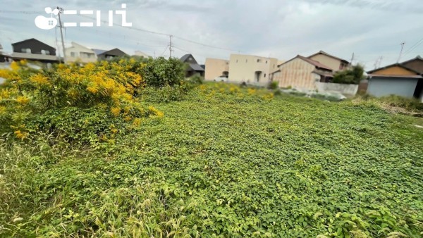 姫路市玉手、土地の画像です