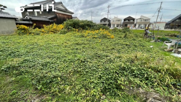 姫路市玉手、土地の画像です