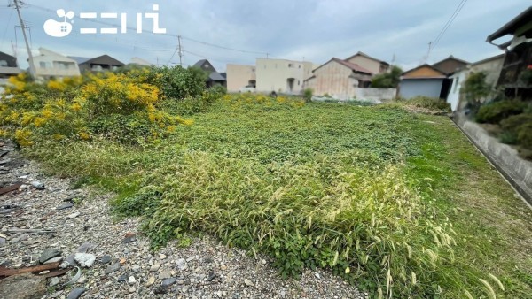 姫路市玉手、土地の画像です