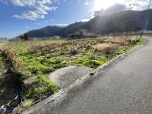 たつの市新宮町中野庄、土地の外観画像です