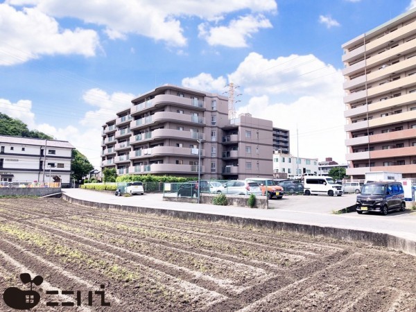 姫路市東今宿、マンションの画像です