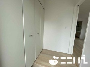 姫路市砥堀、新築一戸建ての収納画像です