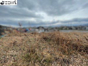 揖保郡太子町佐用岡、土地の外観画像です