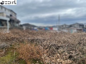 揖保郡太子町佐用岡、土地の外観画像です