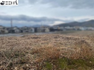 揖保郡太子町佐用岡、土地の外観画像です