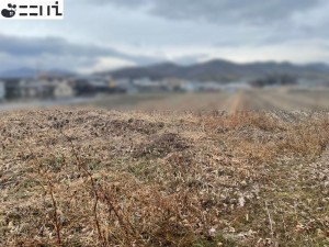 揖保郡太子町佐用岡、土地の外観画像です