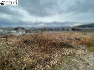 揖保郡太子町佐用岡、土地の外観画像です