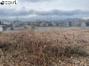 揖保郡太子町佐用岡、土地の外観画像です