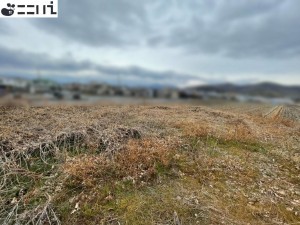 揖保郡太子町佐用岡、土地の外観画像です