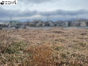 揖保郡太子町佐用岡、土地の外観画像です