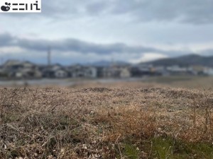 揖保郡太子町佐用岡、土地の外観画像です